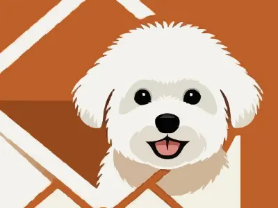 Bichon