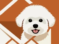 Bichon