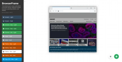 BrowserFrame