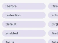 CSS Reference