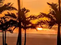 Maximally optimizing image loading for the web in 2021