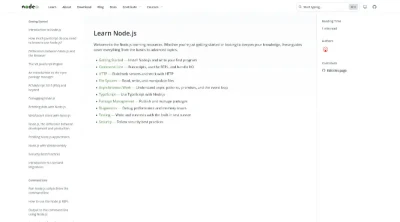 NodeJS Dev