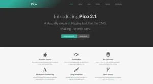 Pico