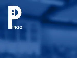 Pingo