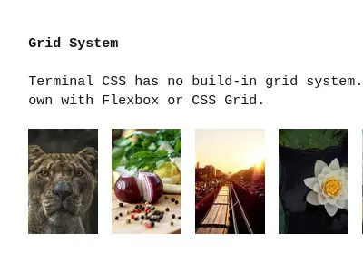 Terminal CSS