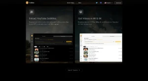 Vidbee