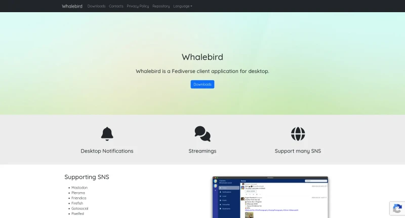 Whalebird